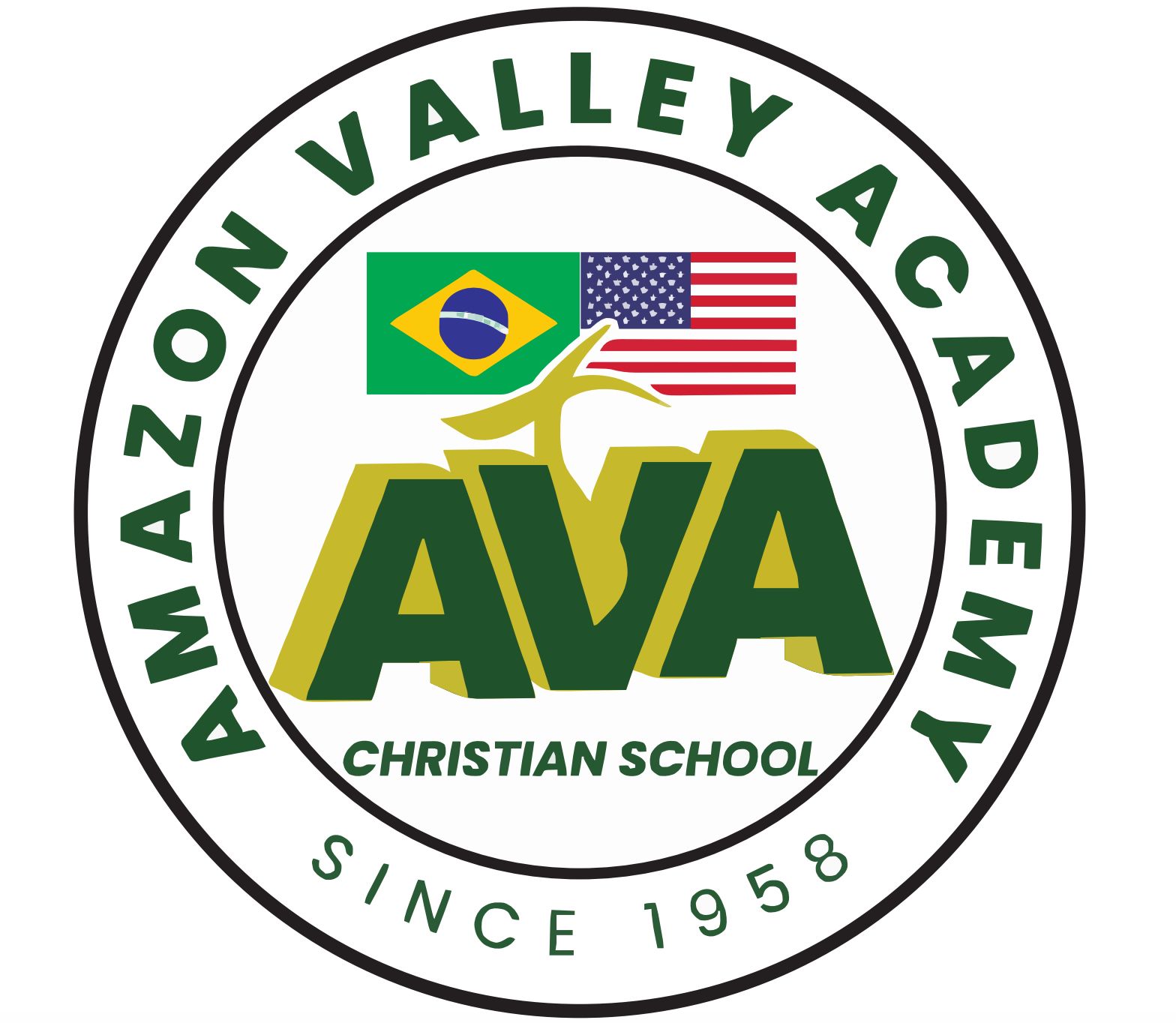 Amazon Valley Academy logo